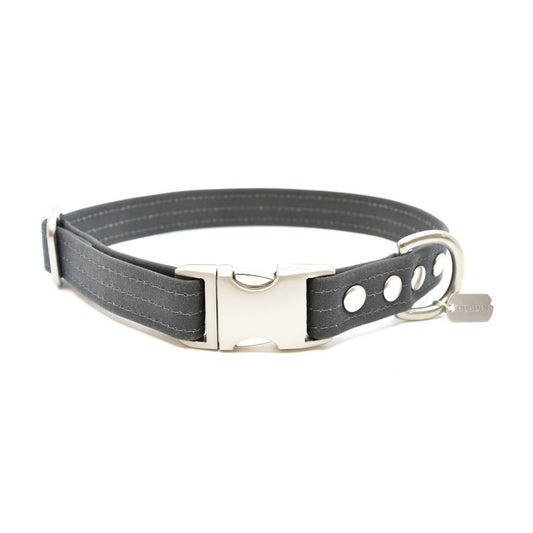 Vegan Eco-Friendly Canvas Collar in Charcoal Gray - This Dog's Life