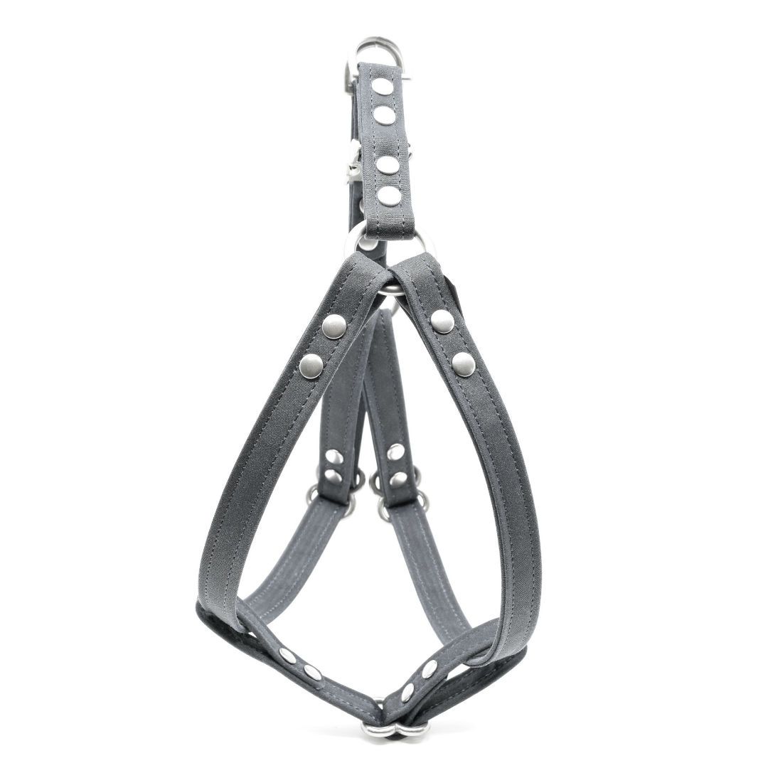 Vegan Eco Friendly Canvas Harness