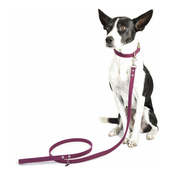 Vegan Eco-Friendly Canvas Leash in Raspberry Red - This Dog's Life