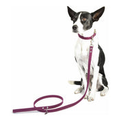 Vegan Eco-Friendly Canvas Leash in Forest Green - This Dog's Life