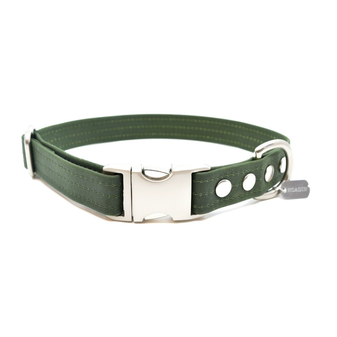 Vegan Eco-Friendly Canvas Collar in Charcoal Gray - This Dog's Life