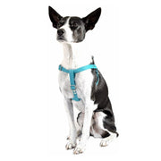Vegan Eco-Friendly Canvas Harness in Navy Blue - This Dog's Life
