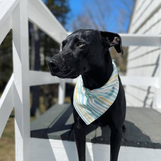 Linen Dog Bandana in Beach Stripe