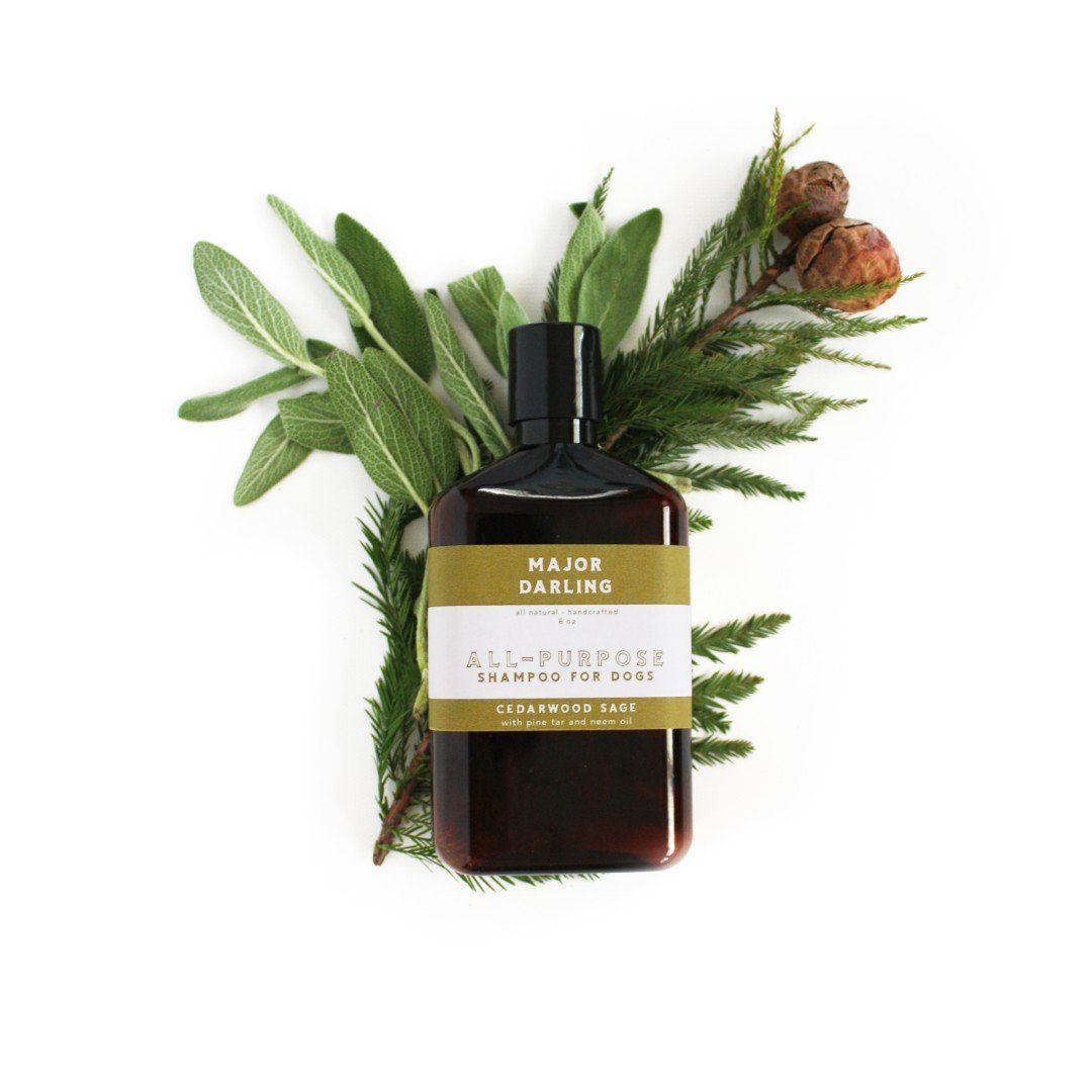 Everyday Dog Shampoo Cedarwood Sage