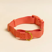 Martingale Eco-Friendly Collar in Spicy Red