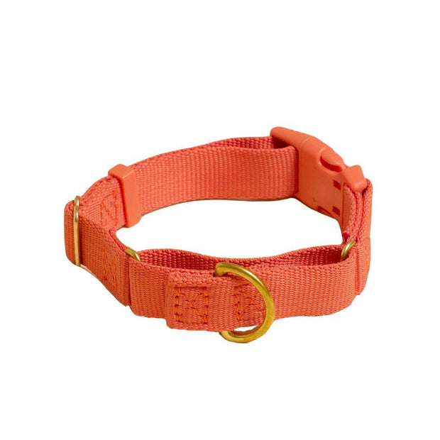 Martingale Eco-Friendly Collar in Spicy Red