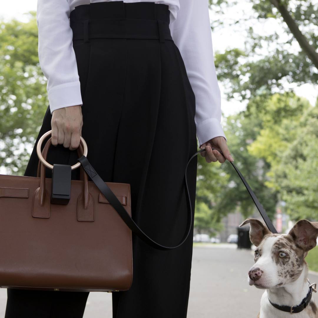 Circular Handle Leather Leash in Classic Black and Gold