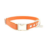 Vegan Eco-Friendly Canvas Collar in Raspberry Red - This Dog's Life