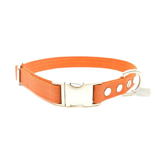 Vegan Eco-Friendly Canvas Collar in Tangerine Orange - This Dog's Life