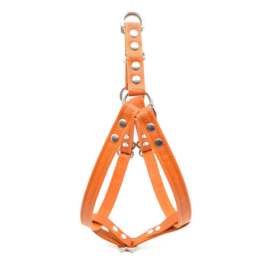 Vegan Eco-Friendly Canvas Harness in Tangerine Orange - This Dog's Life