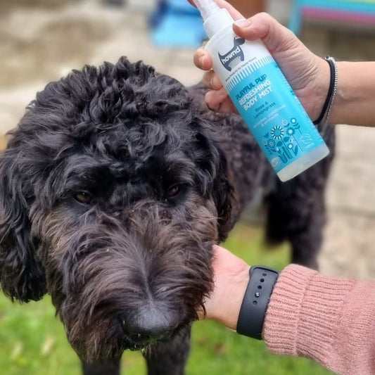 Refreshing Body Mist Dog Spray