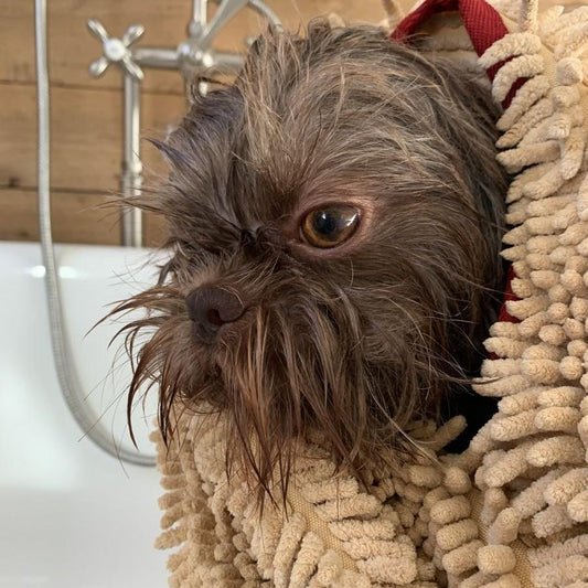Dog Bath Towel with Hand Pockets in Microfiber Chenille