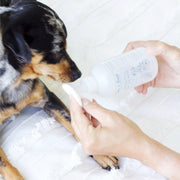 Natural Ear Relief Wash for Dogs