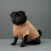 Cashmere Dog Sweater in Emerald Green