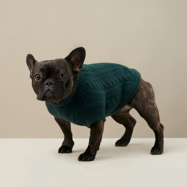 Cashmere Dog Sweater in Emerald Green