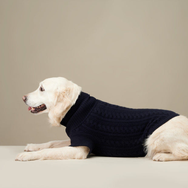Cashmere Dog Sweater in Camel