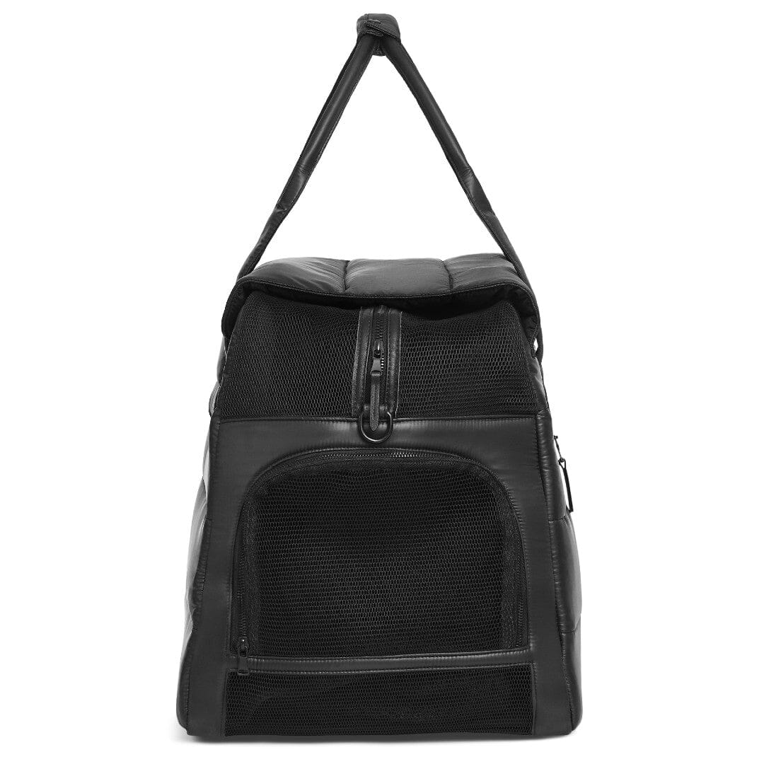 Padded Destination Dog Carrier in Jet Black
