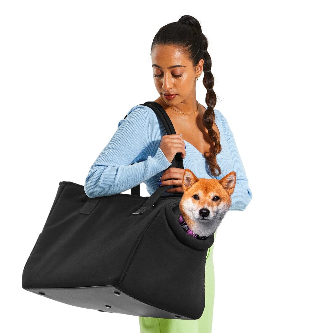 The Everyday Dog Carrier Bag in Black Canvas