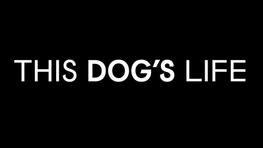 This Dog's Life Gift Card