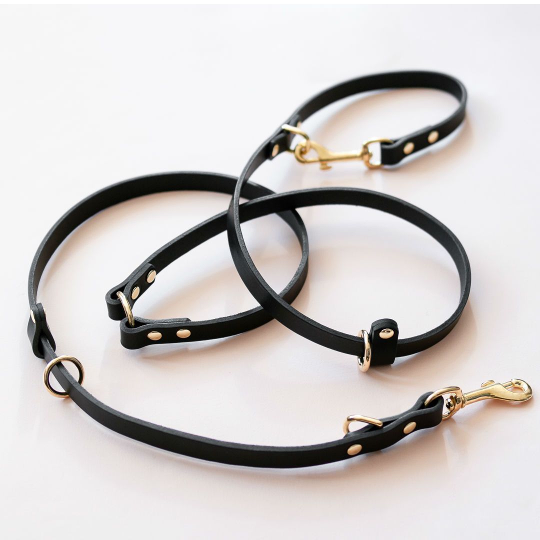 The Essential 5-in-1 Leather Leash in Black - This Dog's Life