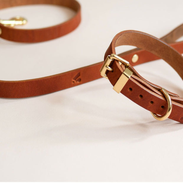 The Essential Classic Leather Leash in Tan - This Dog's Life