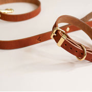 The Essential Classic Leather Collar in Tan - This Dog's Life
