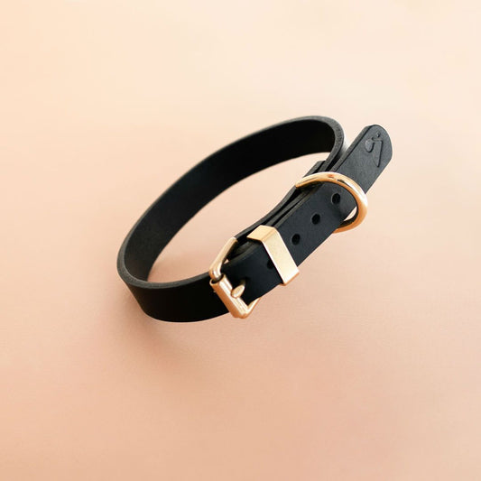 The Essential Classic Leather Collar in Black - This Dog's Life