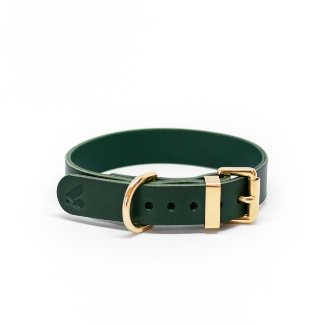 The Essential Classic Leather Collar in Coffee Brown - This Dog's Life