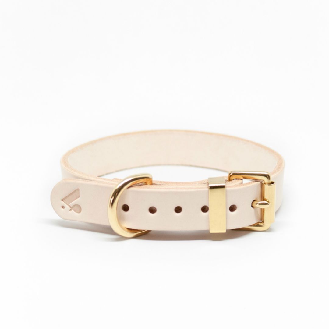 The Essential Classic Leather Leash in Nude - This Dog's Life