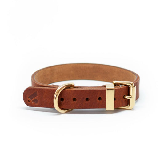 The Essential Classic Leather Collar in Tan - This Dog's Life