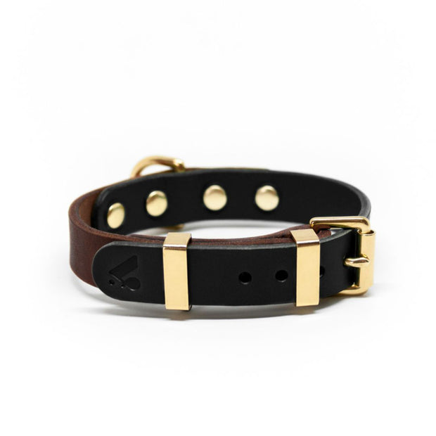 Two-Tone Leather Collar in Black and Brown - This Dog's Life