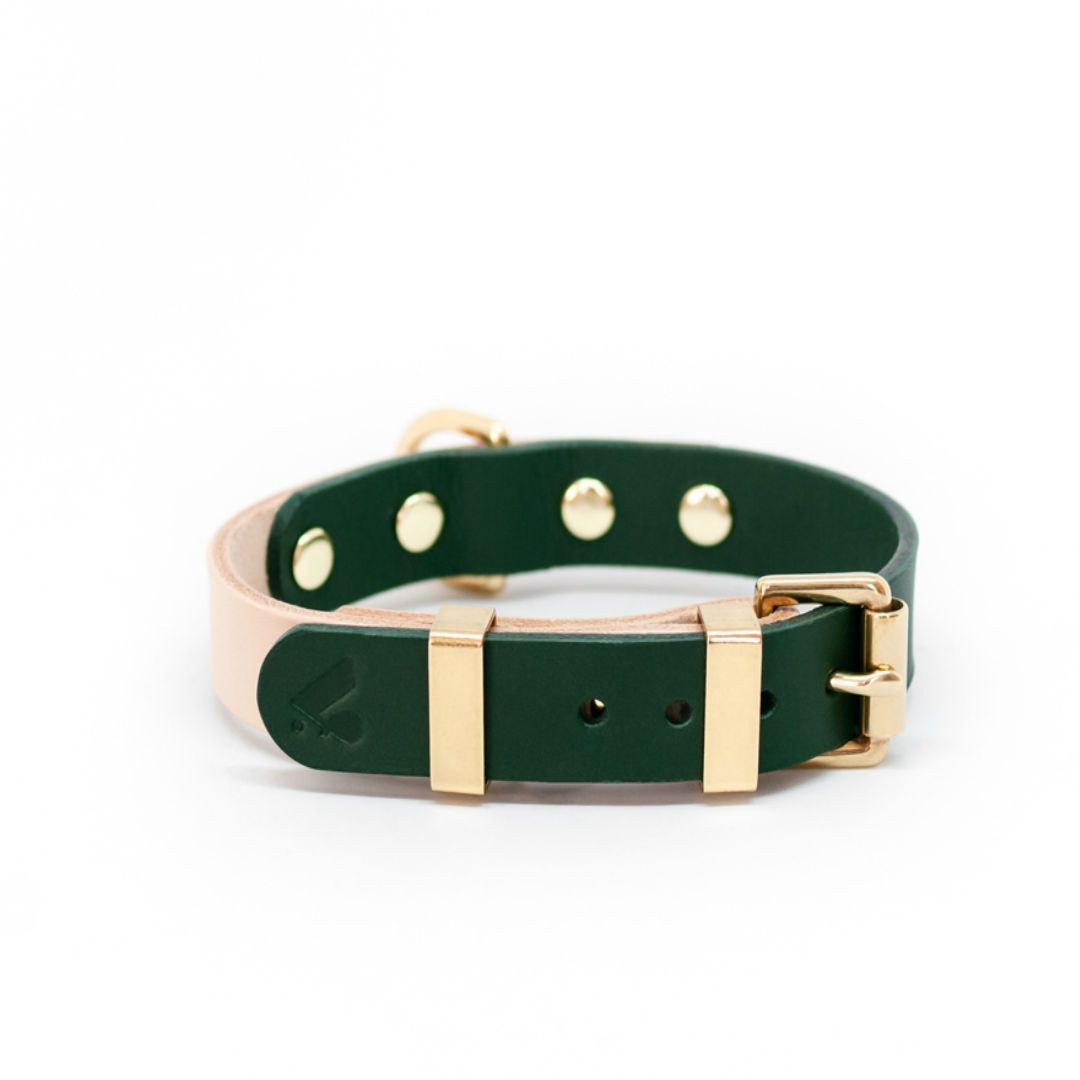 Two-Tone Leather Collar in Black and Brown - This Dog's Life