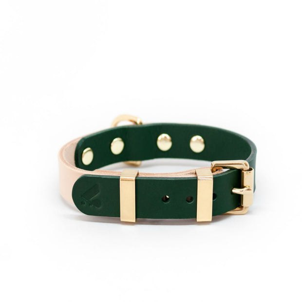 Two-Tone Leather Collar in Tan and Jade - This Dog's Life