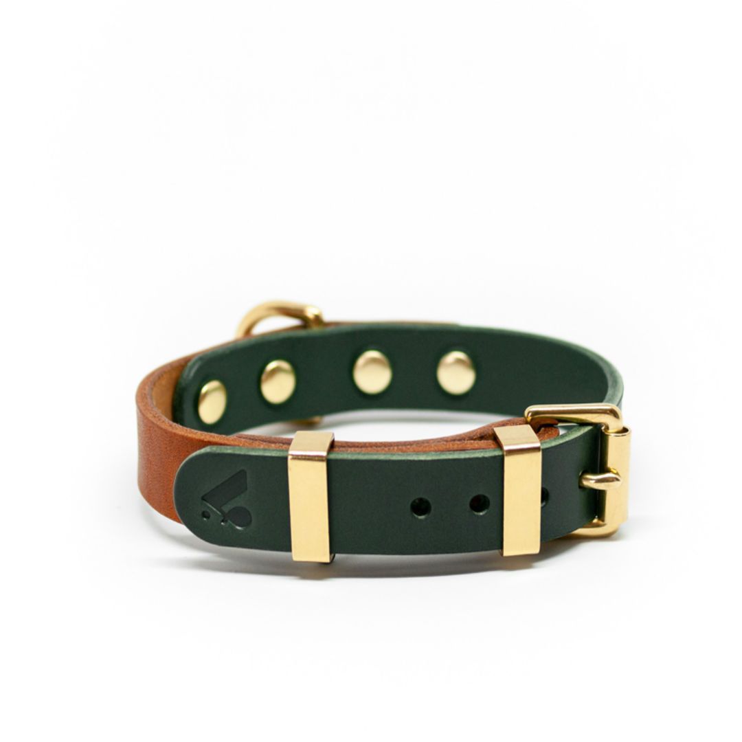 Two-Tone Leather Collar in Nude and Jade - This Dog's Life