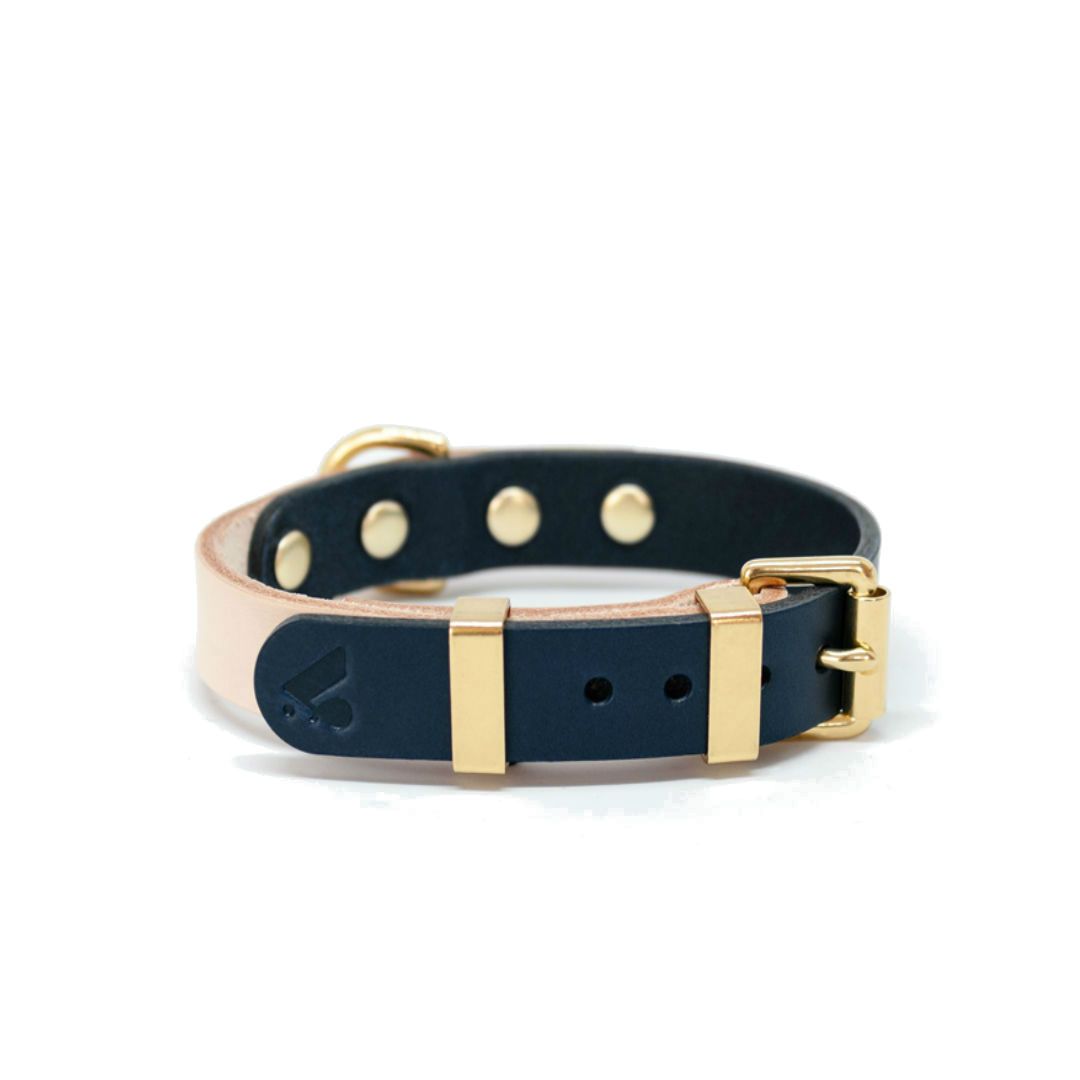 Two-Tone Leather Collar in Black and Brown - This Dog's Life