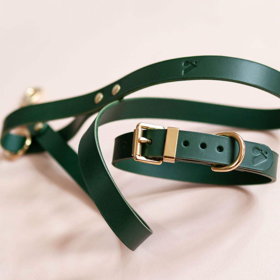 The Essential Classic Leather Collar in Jade Green - This Dog's Life