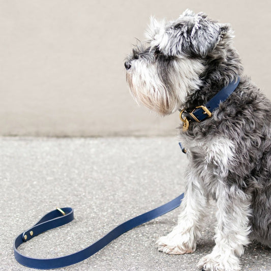 The Essential Classic Leather Leash in Navy - This Dog's Life
