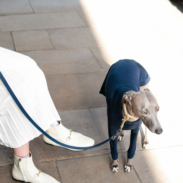 The Essential 5-in-1 Leather Leash in Navy Blue - This Dog's Life