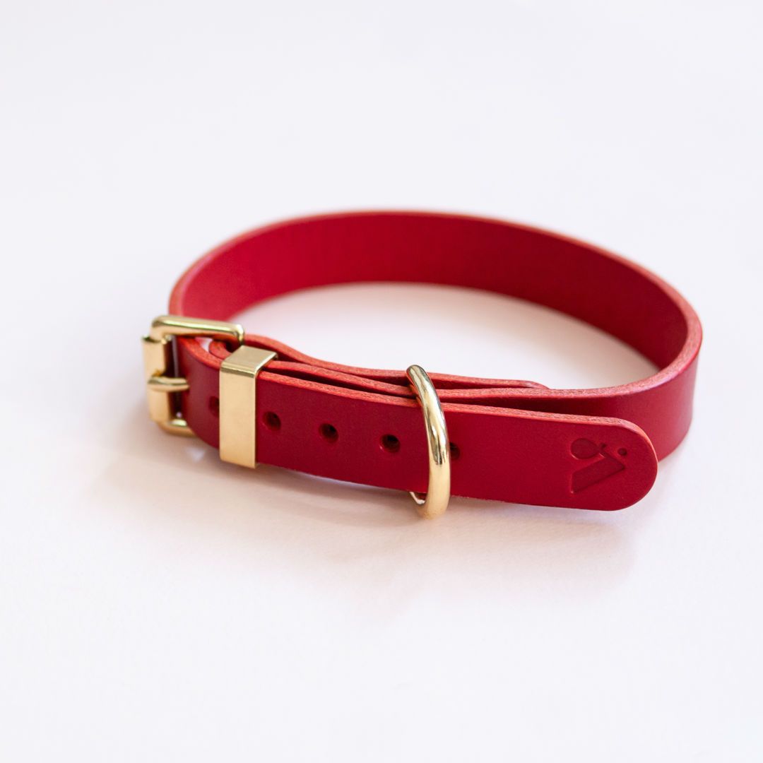 The Essential 5-in-1 Leather Leash in Ruby Red - This Dog's Life
