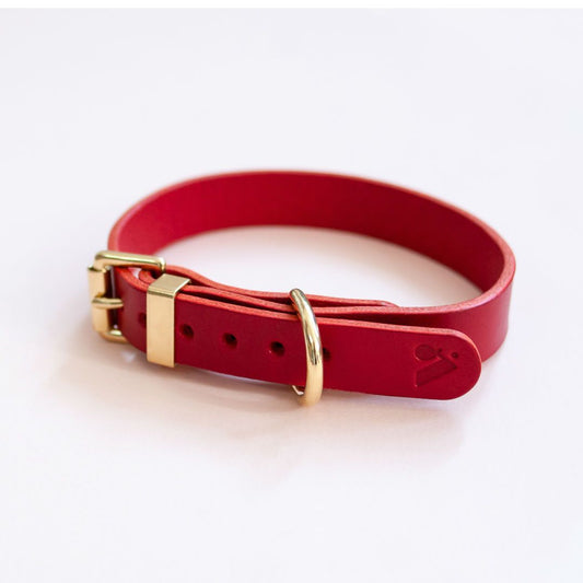 The Essential Classic Leather Collar in Ruby Red - This Dog's Life