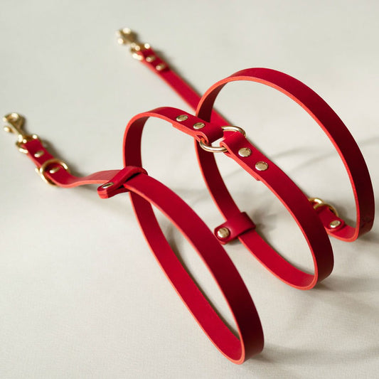 The Essential 5-in-1 Leather Leash in Ruby Red - This Dog's Life