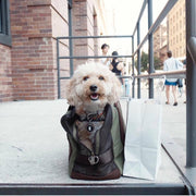 Mesh Panel Airline-Approved Dog Carrier in Olive and Brown - This Dog's Life