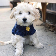 Wool Dog Sweater in Navy Blue - This Dog's Life