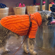 Wool Dog Sweater in Orange Carrot - This Dog's Life
