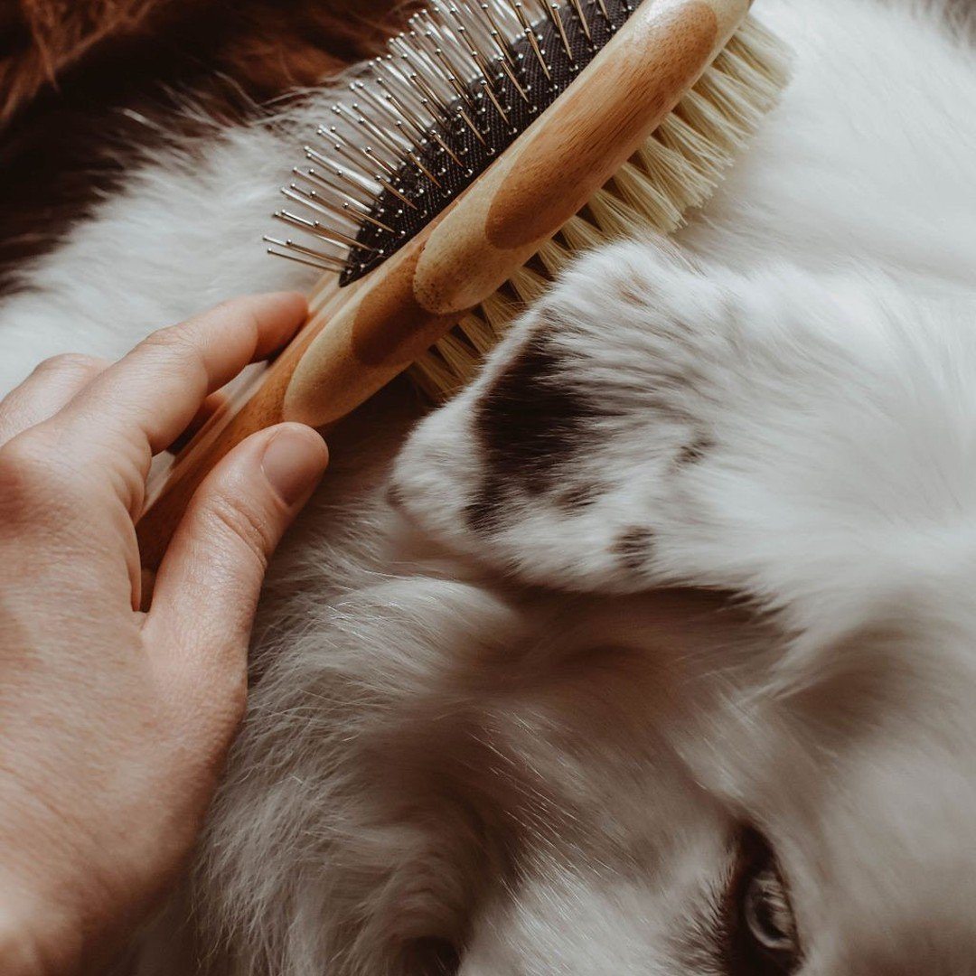 Double-Sided Dog Brush Made of Plant Fibers