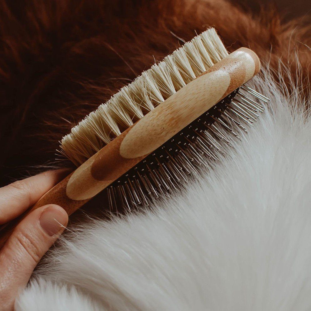 Double-Sided Dog Brush Made of Plant Fibers