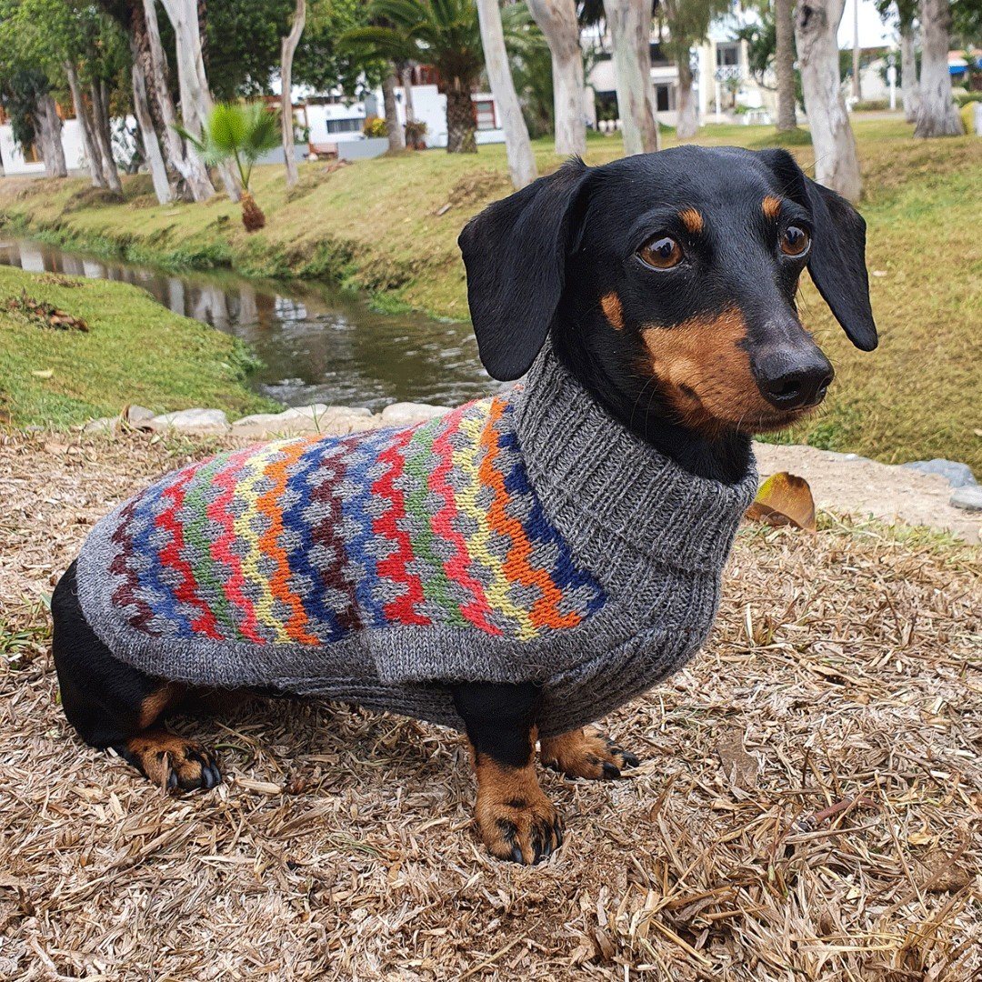 Multicolored Crossroads Alpaca Wool Dog Sweater