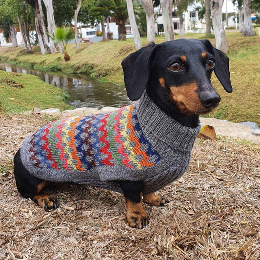 Multicolored Crossroads Alpaca Wool Dog Sweater