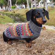 Multicolored Crossroads Alpaca Wool Dog Sweater