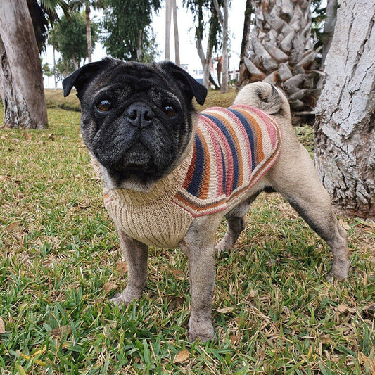 Multicolored Striped Wool Dog Sweater